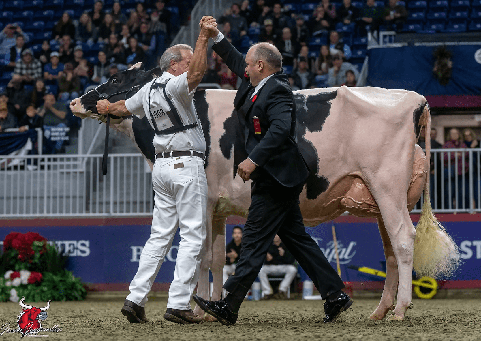 Texas producers see promise in record-breaking dairy cow purchase